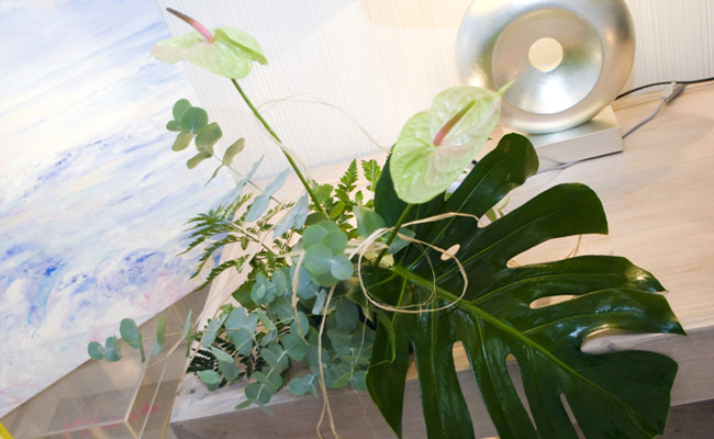 Instalaciones Gimnasi De L´Art Valencia
